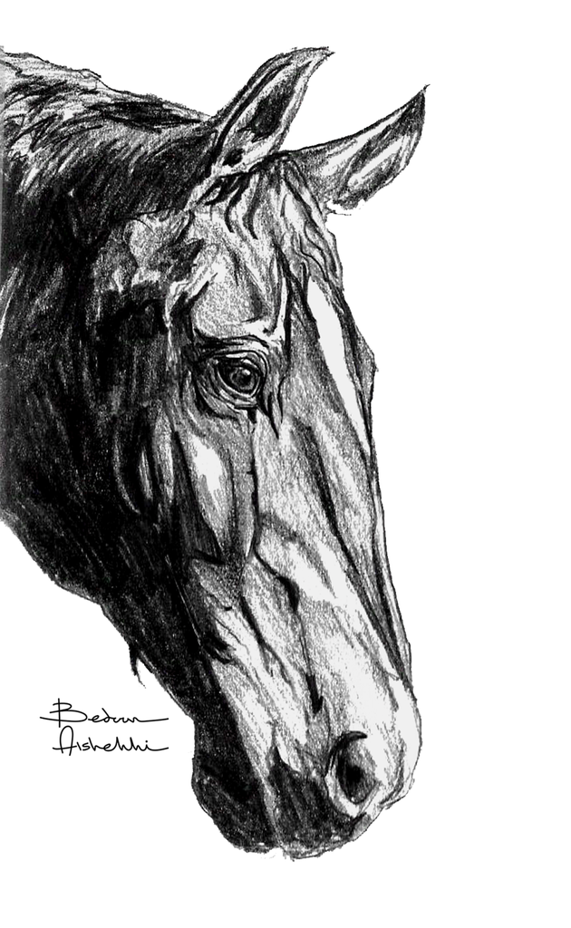 Quiet Strength study [unframed]