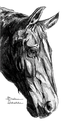 Quiet Strength study [unframed]