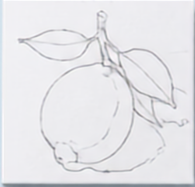 No. 03 | Lemon | Pantry Collection