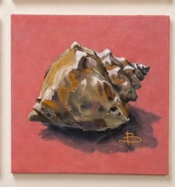 No. 04 | The Seashell | Close Studies Collection
