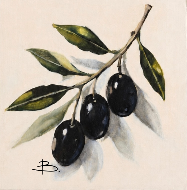 No. 06 | The Olive branch | Close studies Collection